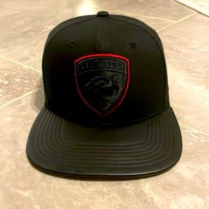 Panthers Hat